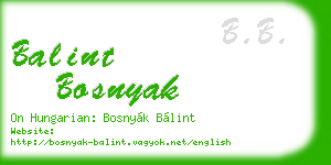 balint bosnyak business card