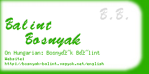 balint bosnyak business card